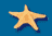 Software, logiciels, freeware, programmes, shareware, gratuit
