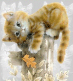 chat00090.gif (37 ko)