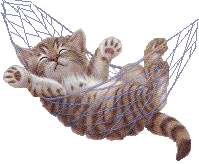 chat_136.gif (35 ko)