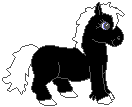 cheval_035.gif (4 ko)