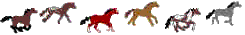 cheval_123.gif (13 ko)