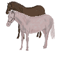 cheval_126.gif (56 ko)