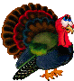 oiseau88.gif (20 ko)